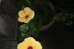 20120201
